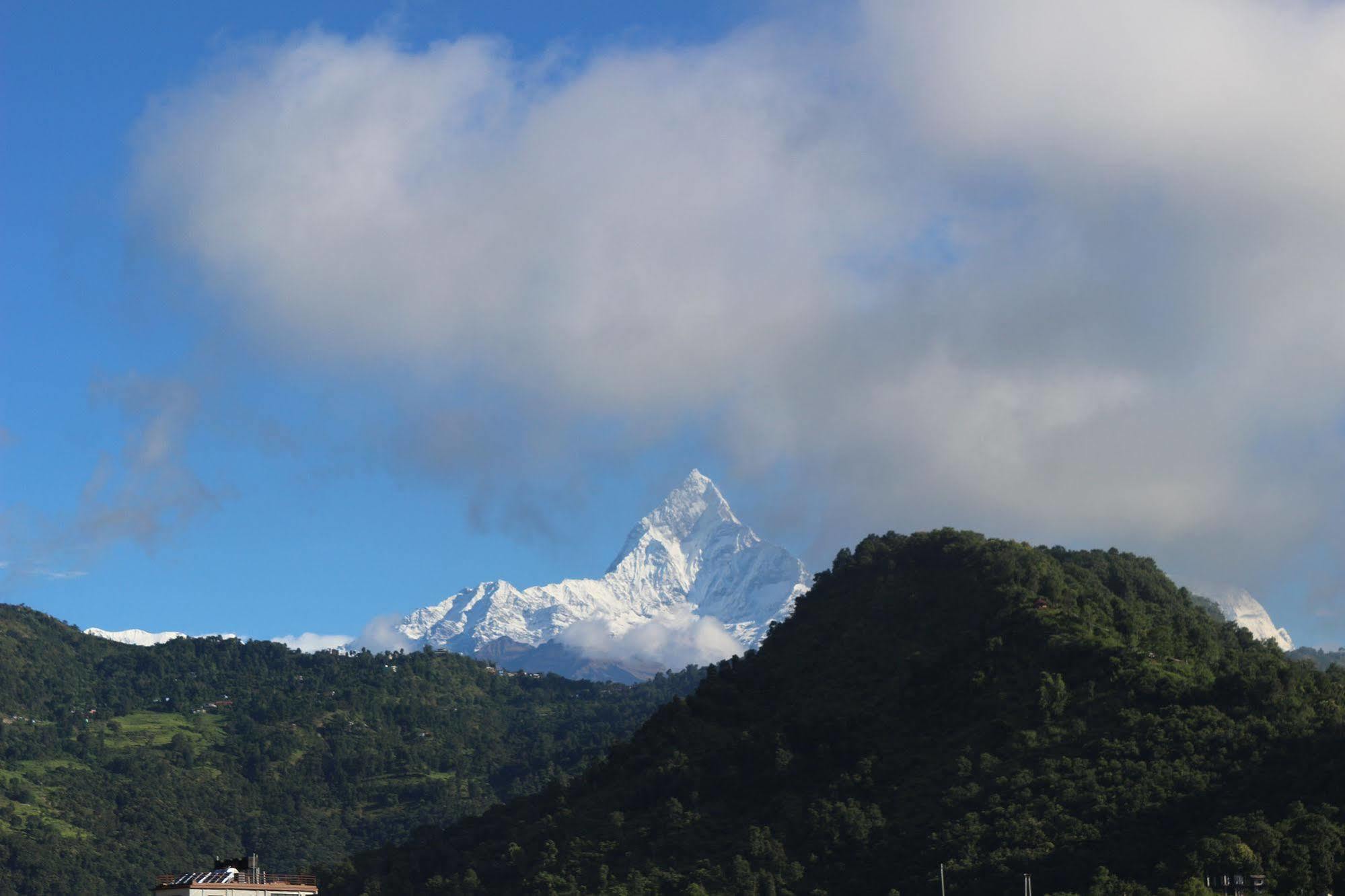 Hotel Buttercup Pokhara Eksteriør billede